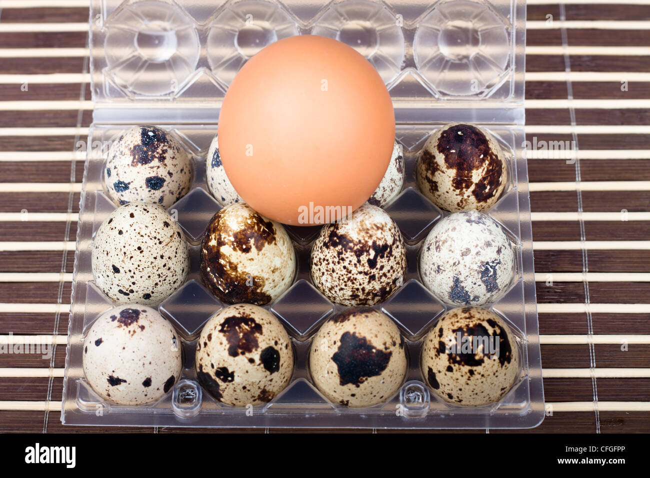 Comparison between chicken egg and quail eggs Stock Photo Alamy