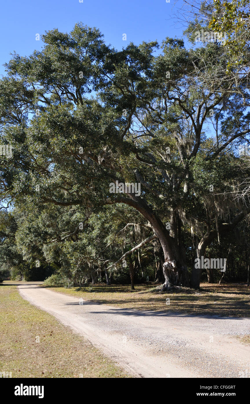 Rural South Carolina, USA Stock Photo - Alamy