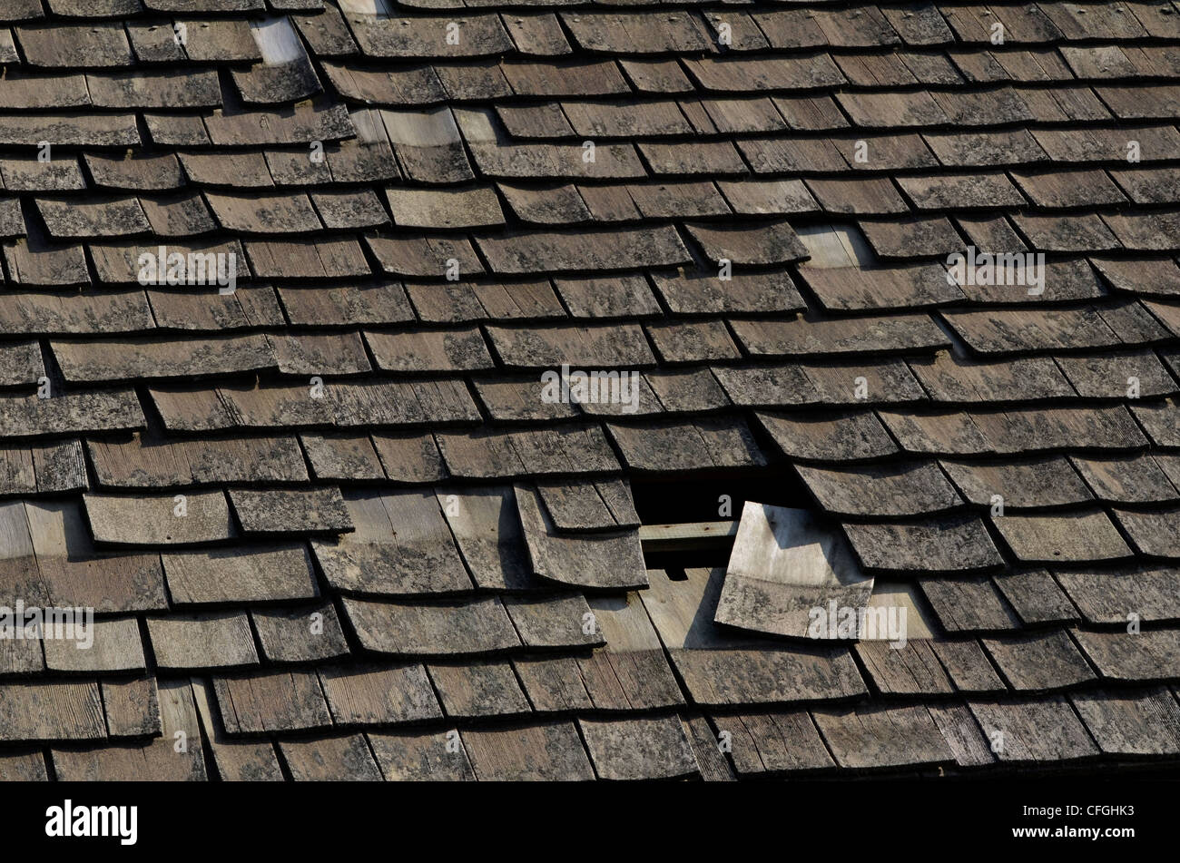 Decaying wood shingle roof. Damaged wood texture, wooden structure ...