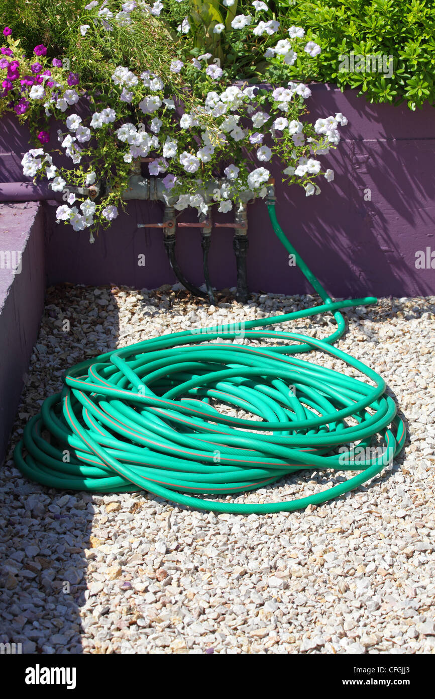 hose for watering plants Stock Photo Alamy