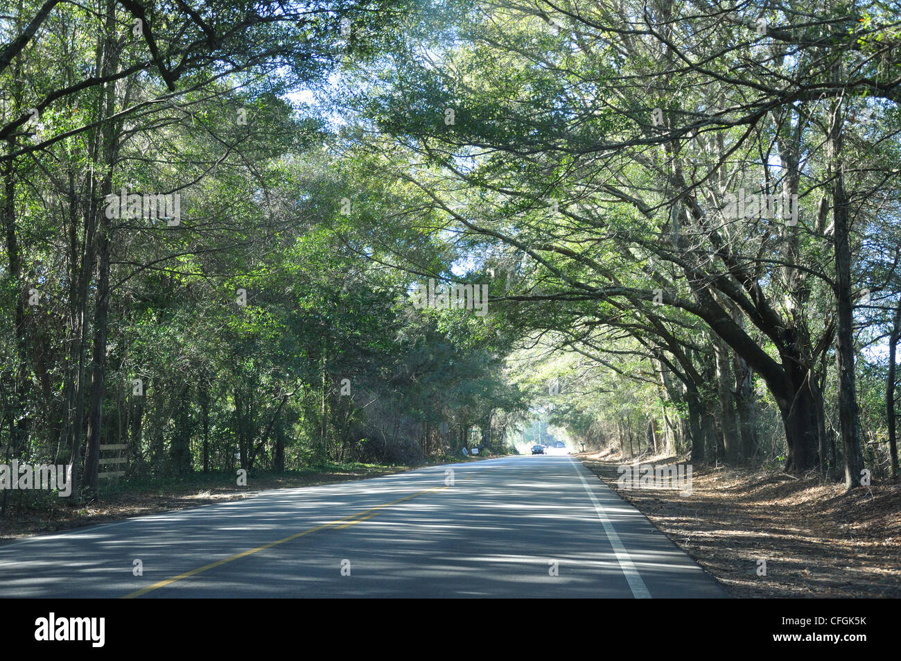Rural South Carolina, USA Stock Photo Alamy
