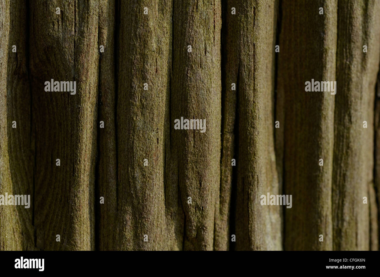 Decaying wooden gate post - close detail. [FOCUS POINT note in ...
