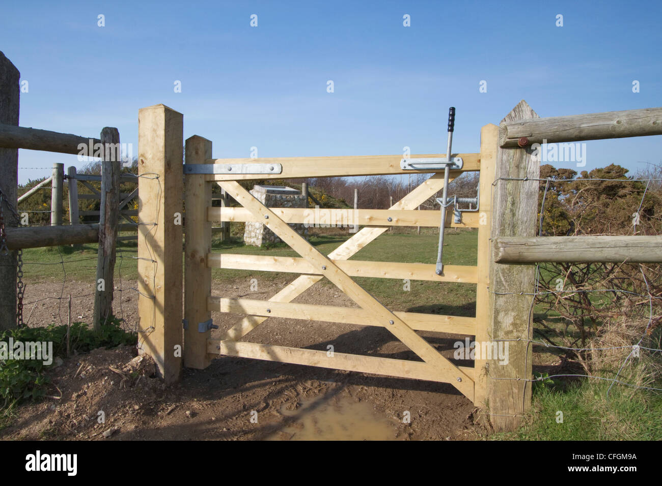 A brand new gate fitted between old fences on a forestry path. Mottistone Down, Isle of Wight. Stock Photo