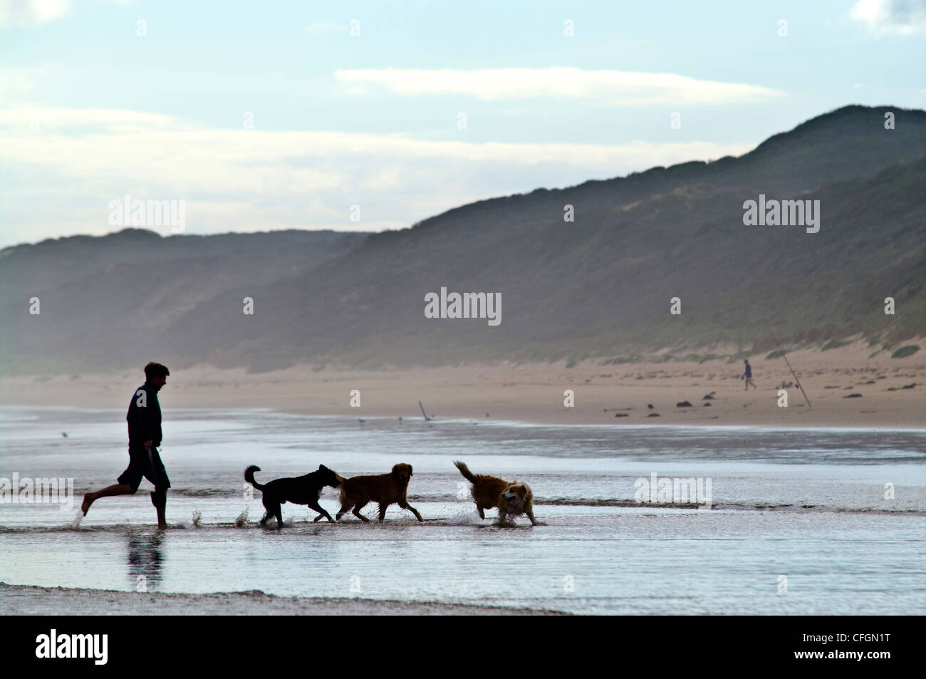 A man runs with his pet dogs in the shallows of a wide beach. Stock Photo