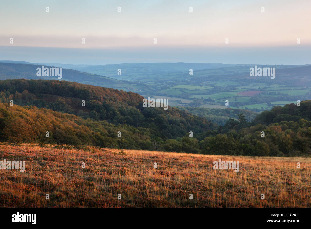View from Selworthy Beacon. Holnicote Estate. Exmoor National Park. Somerset. England. UK. Stock Photo