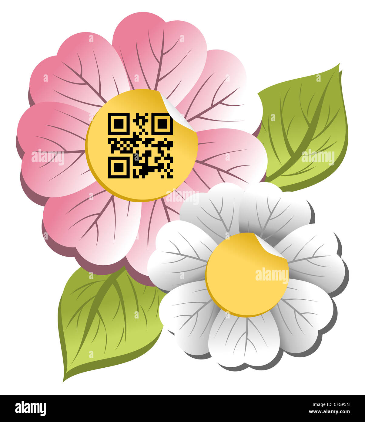 Spring concept: colorful flower with qr code label isolated over white background. Stock Photo