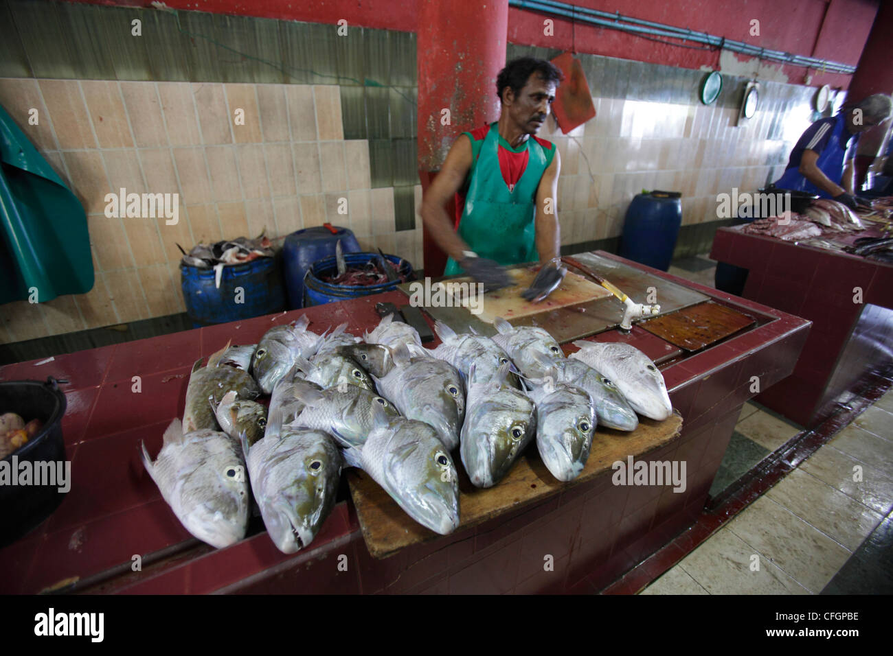 Man cleaning fish at fish market, Male, Maldives Stock Photo Alamy