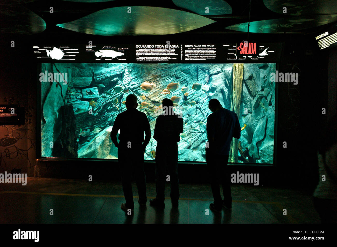 Tourists at the aquarium in Parque Explora, a science park. Stock Photo