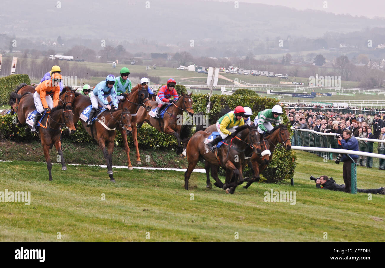 Balthazar King (IRE) before winning the Glenfarclas Handicap Chase in which two horses died Day