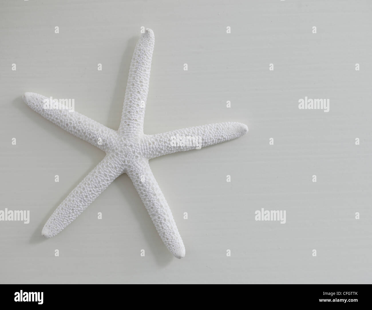 Starfish: Coastal Still Life Stock Photo