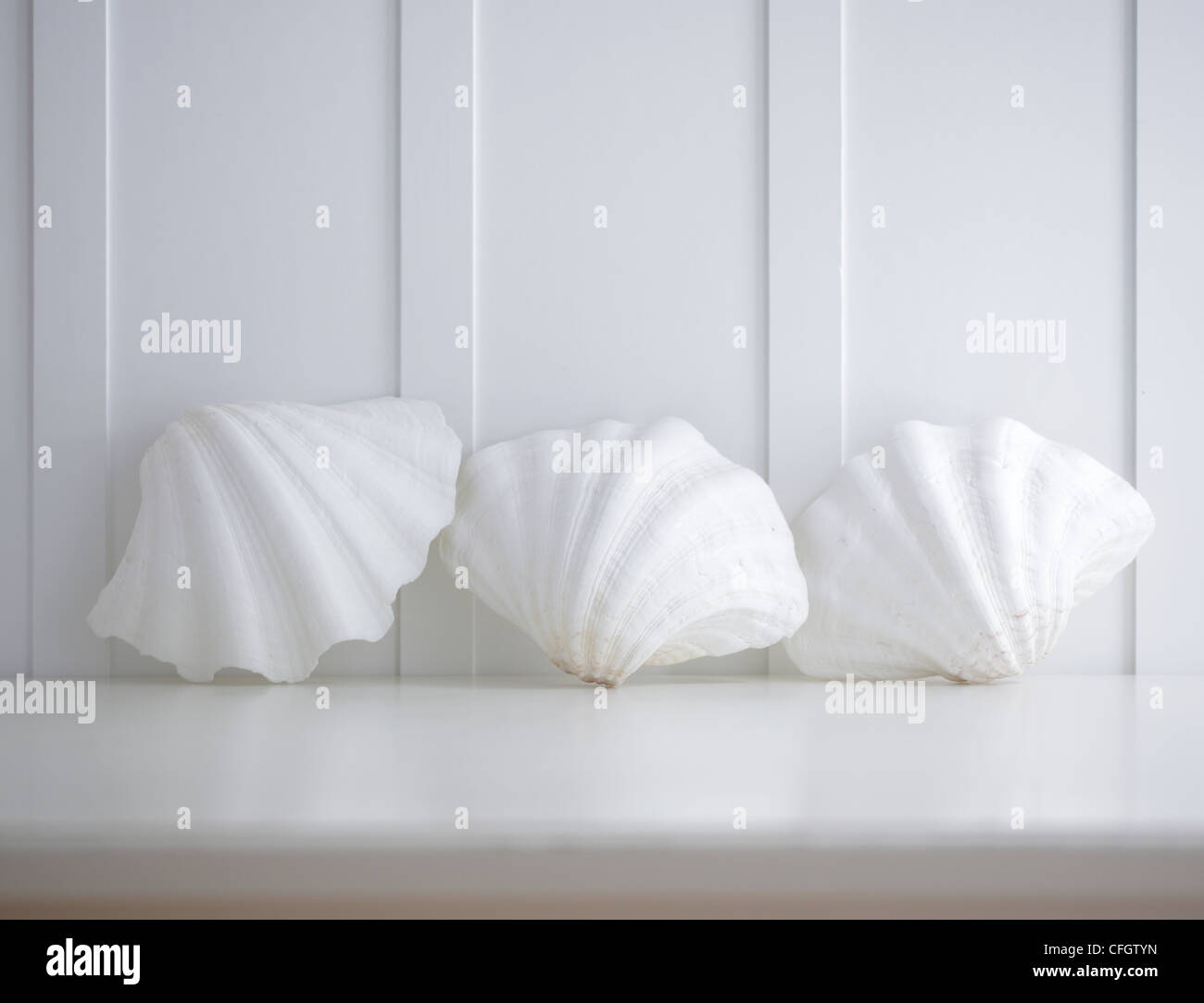 Three Clam Shells Stock Photo