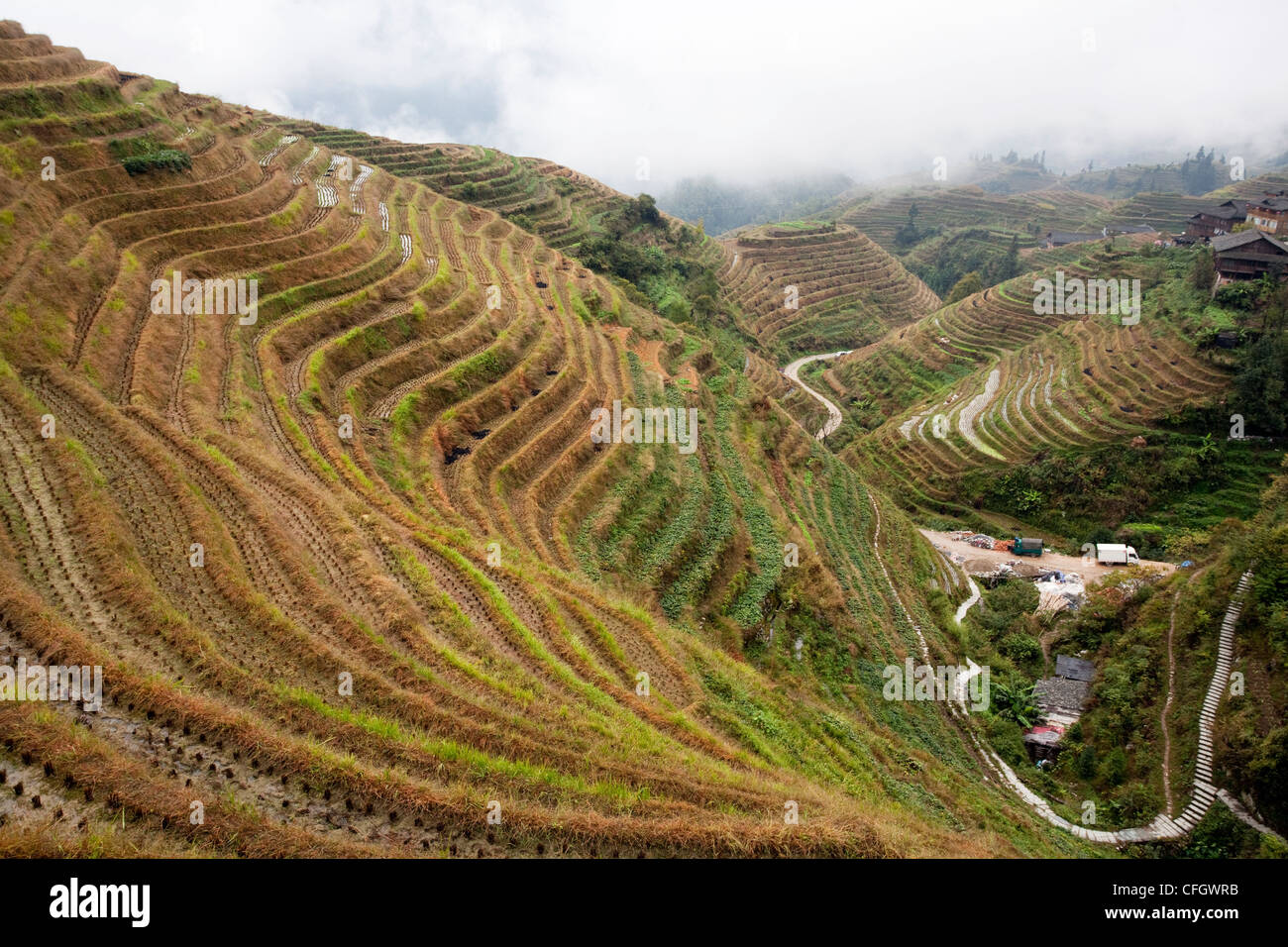 Longji (Dragon's Backbone) Terraced Rice Fields, Longsheng, China Stock ...