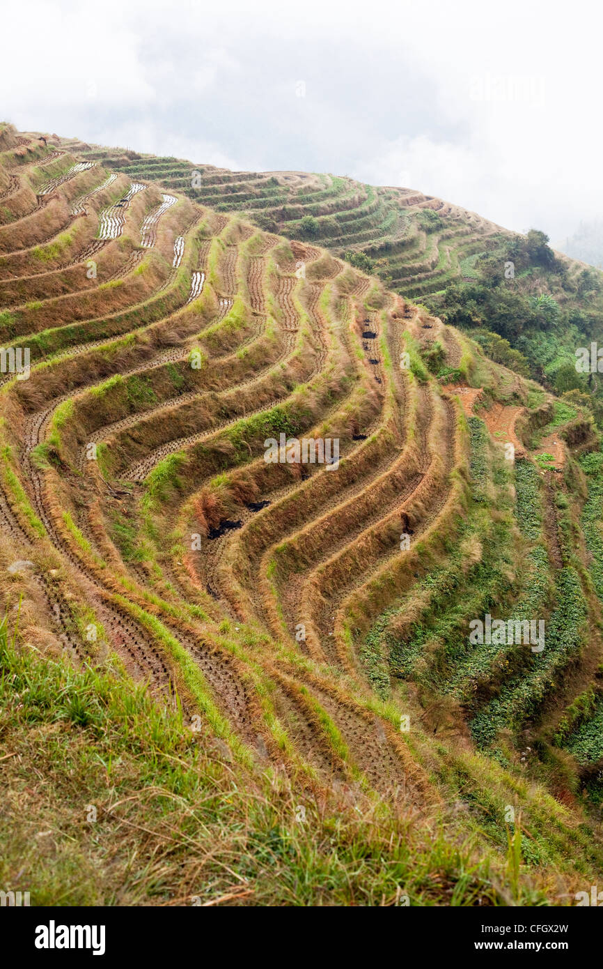 Longsheng longji rice terrace hi-res stock photography and images - Alamy