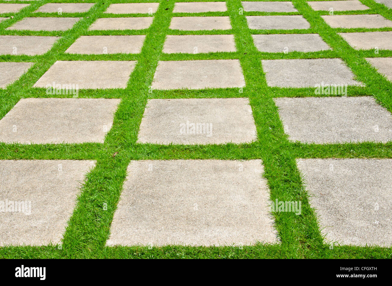 Grass between stones, block paving,. Stock Photo
