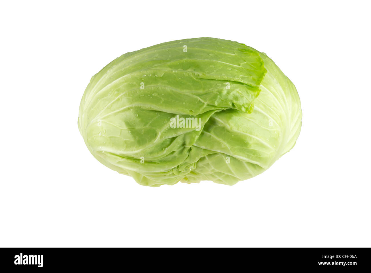 Cabbage isolated on white background Stock Photo