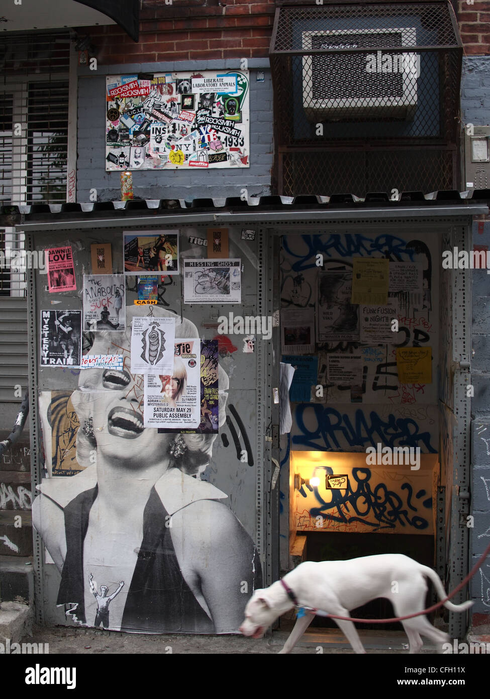 Wall art and posters, Brooklyn, New York Stock Photo