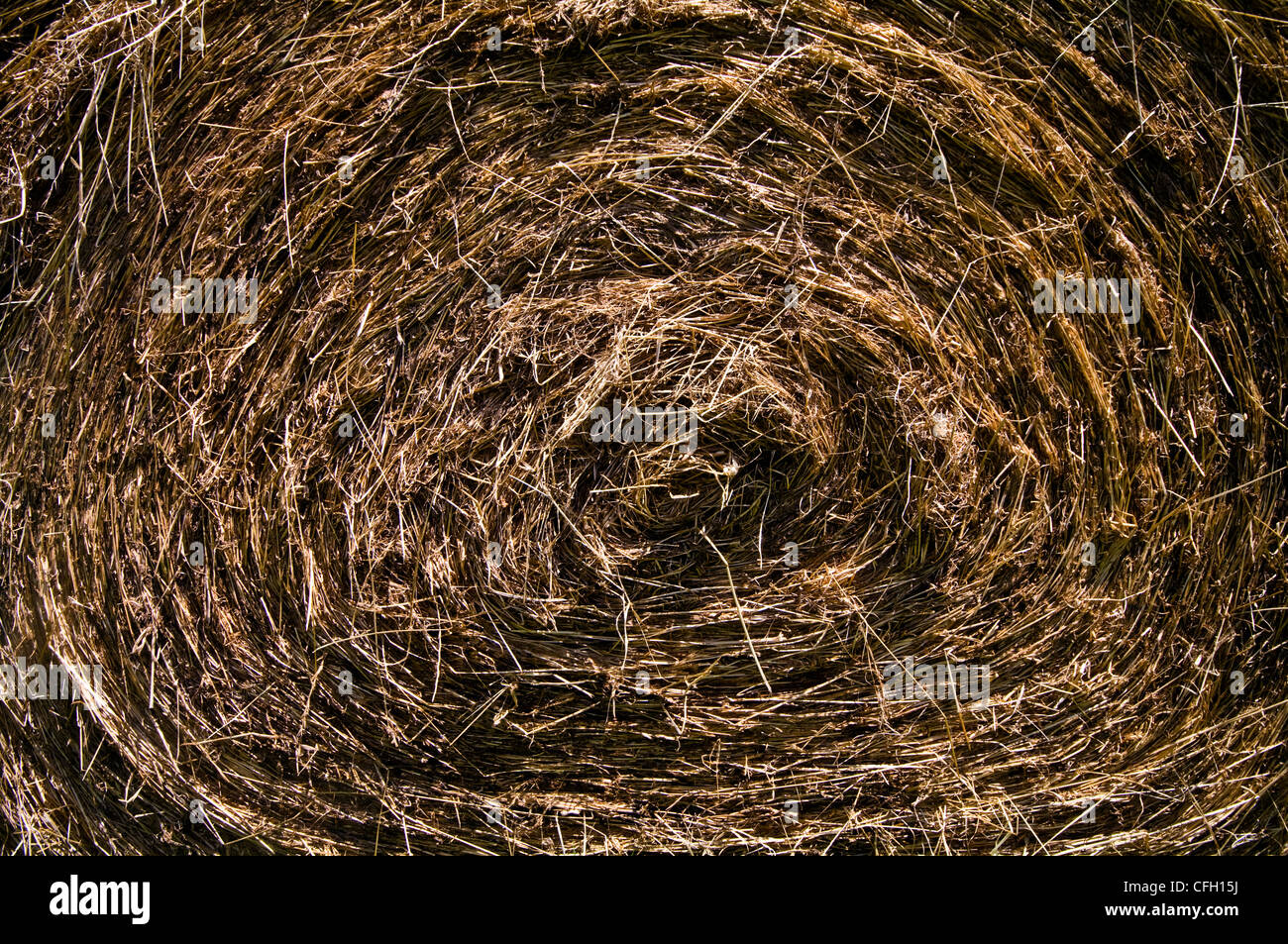After harvesting the textured circular layers of a round hay bail. Stock Photo
