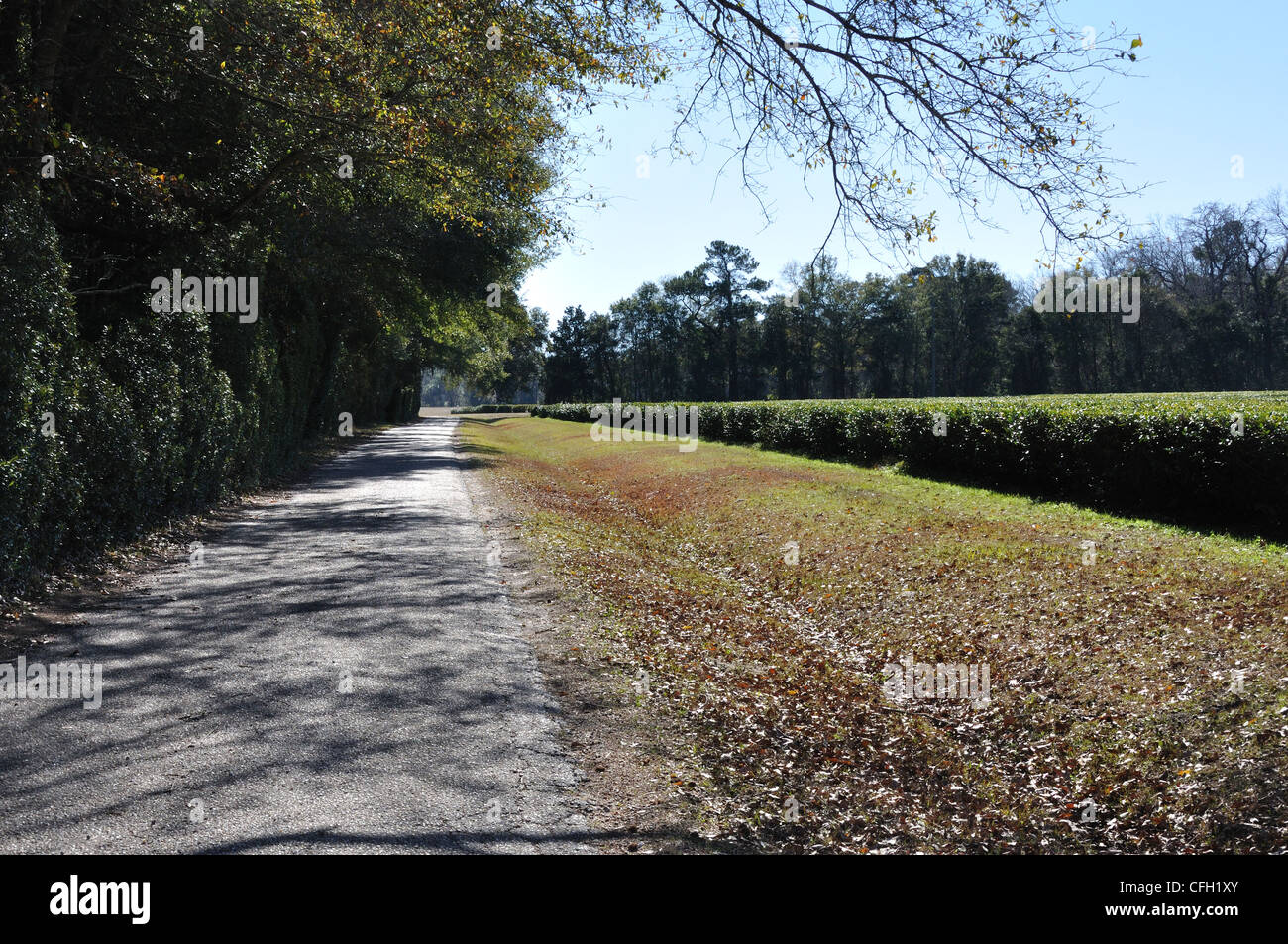 Rural South Carolina, USA Stock Photo Alamy