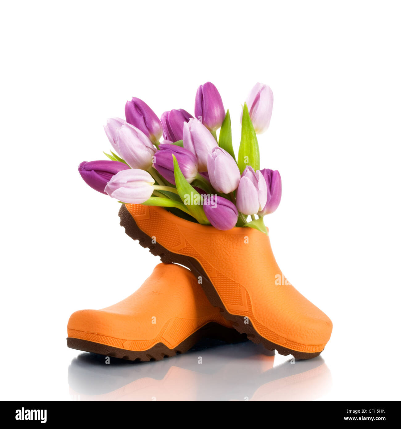 Rubber clog hires stock photography and images Alamy