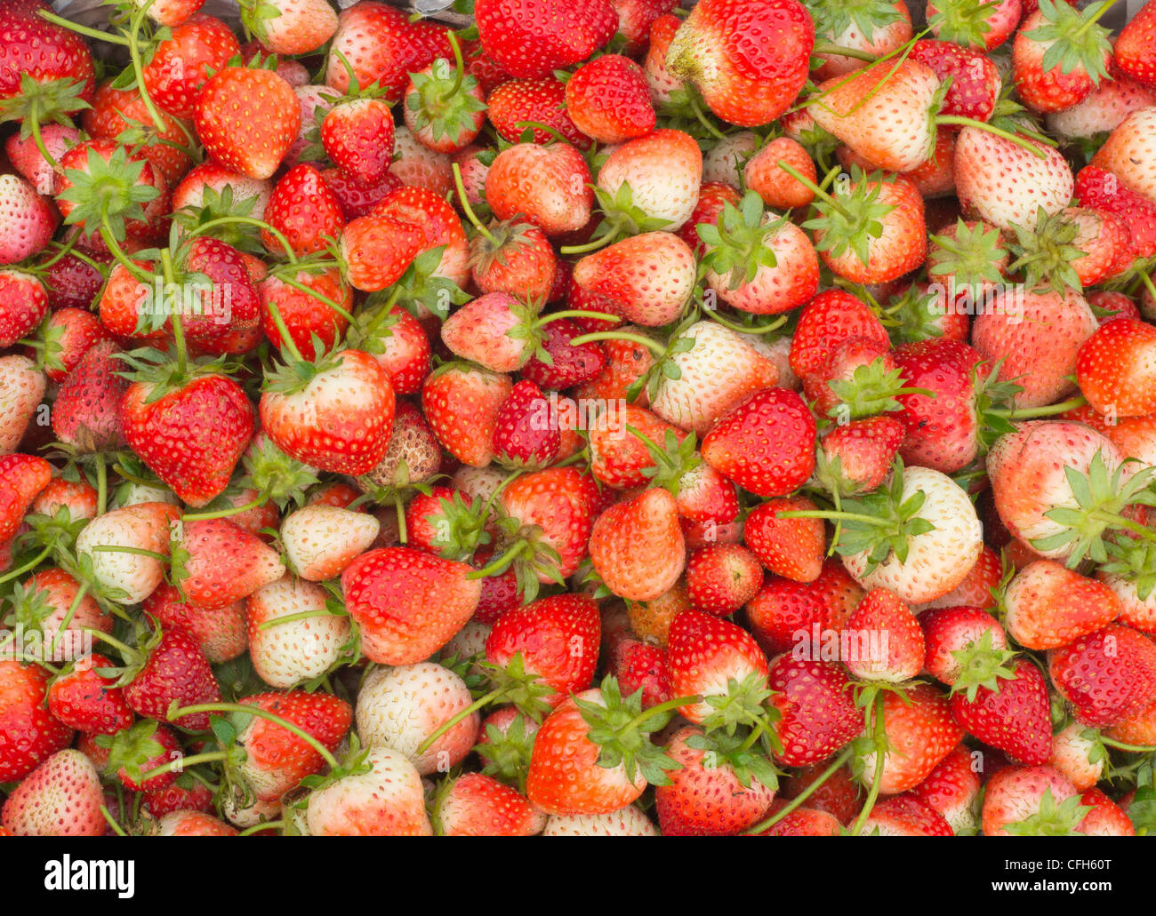 Fresh strawberry background Stock Photo - Alamy