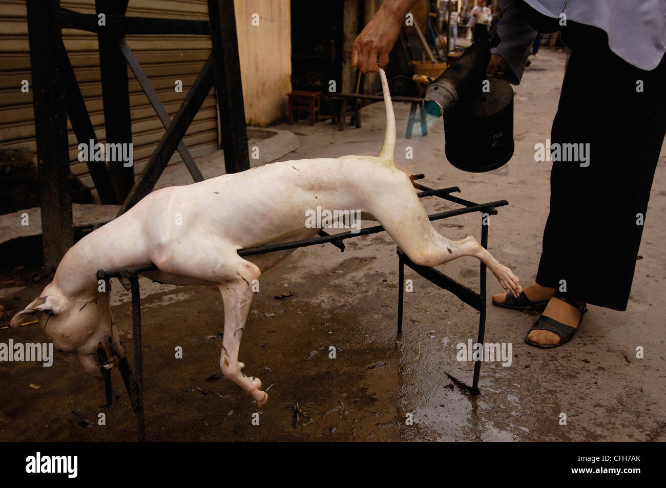 Butchered dog for eating.  Yuanyang, Honghe Prefecture, Yunnan Province, China Stock Photo