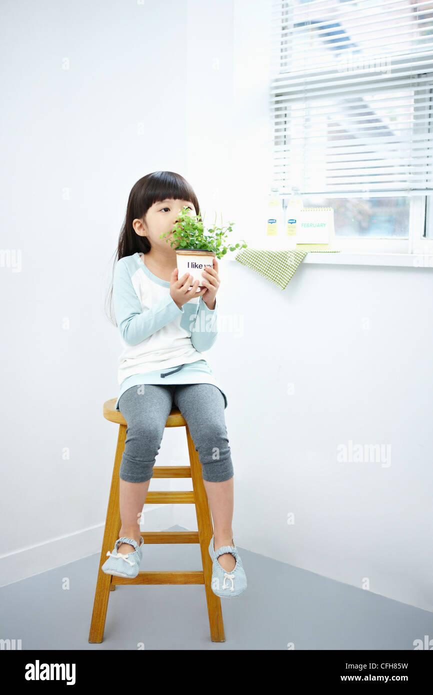 The girl holding the green plant pot on the chair Stock Photo - Alamy