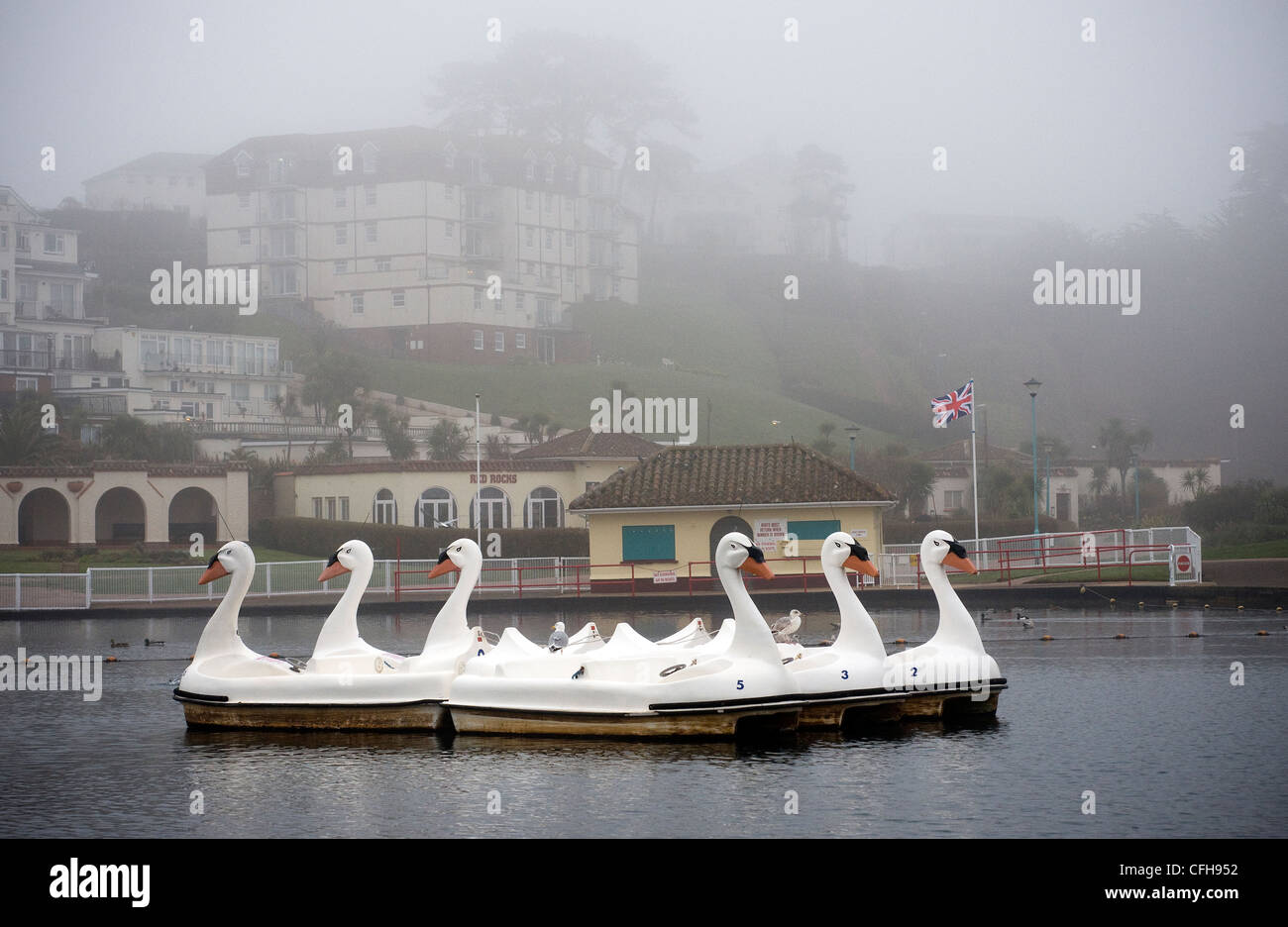 ducks in the mist,swans in the mist,sureal Stock Photo