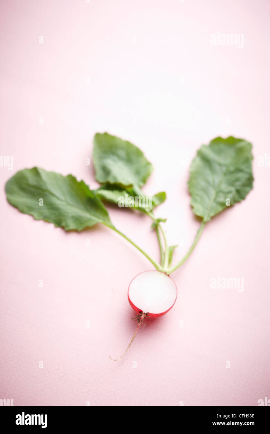 The red turnip in half and green leaves with the pink background Stock Photo