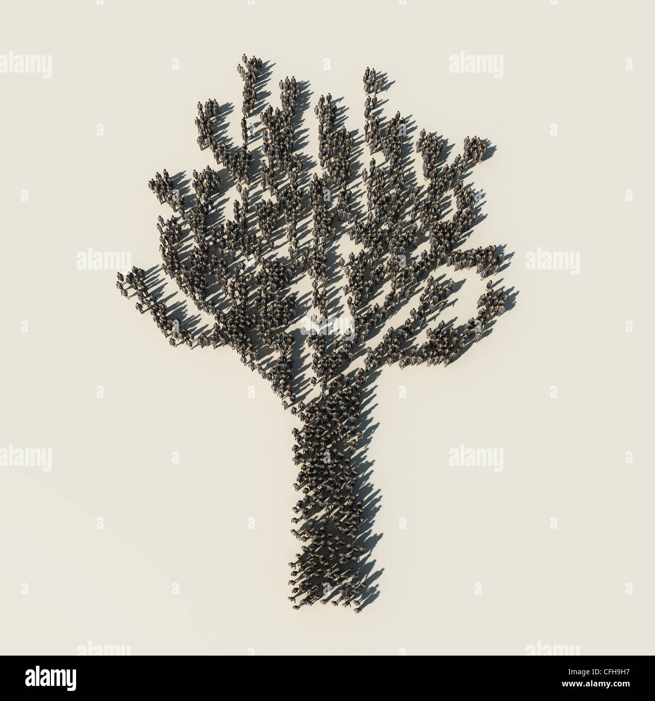 Subordination growth plant hi-res stock photography and images - Alamy