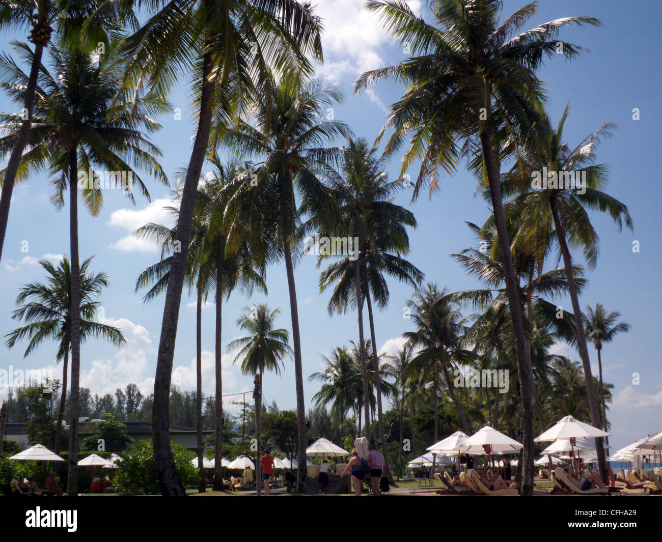 JW Marriott Hotel Khao Lak Thailand. Palm trees and beach umbrellas on