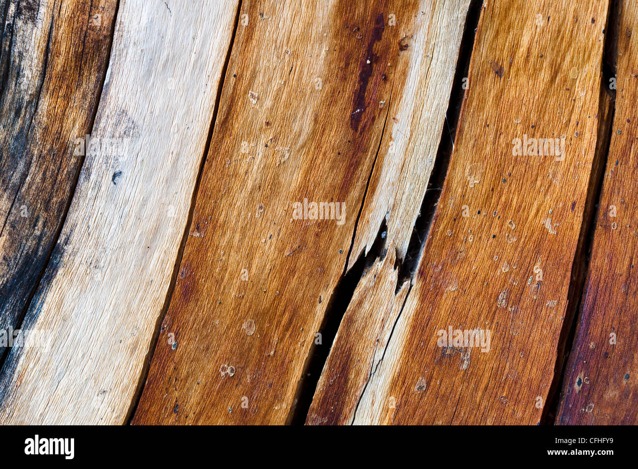 Dead pine tree hires stock photography and images Alamy