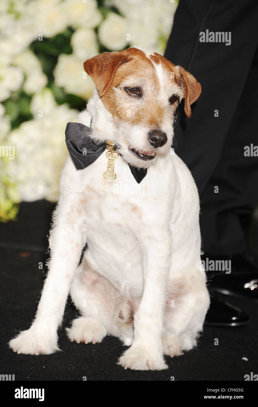 Uggie At The Oscars(01)