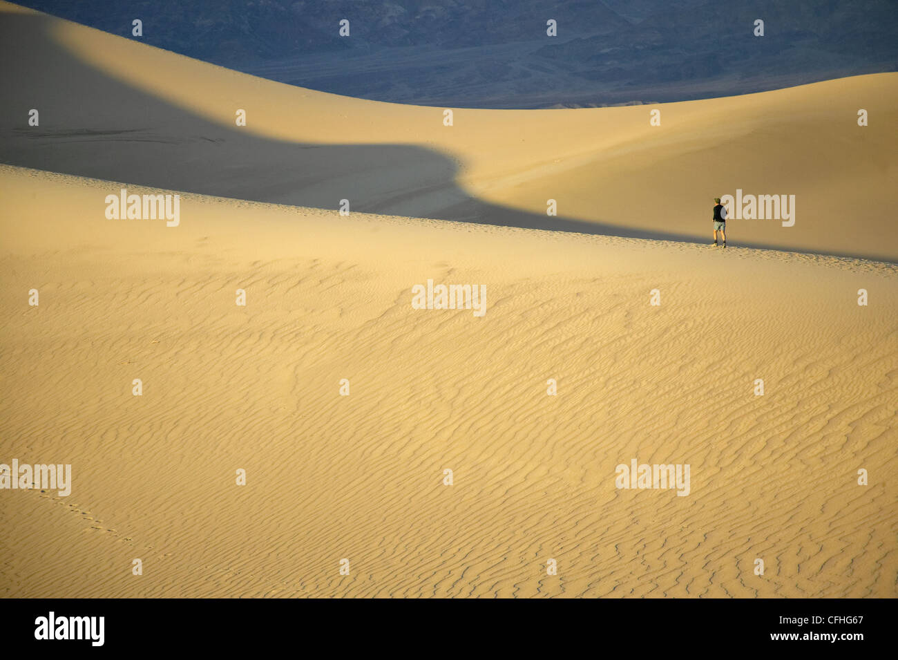 Dunes in Death Valley at Sunset Stock Photo