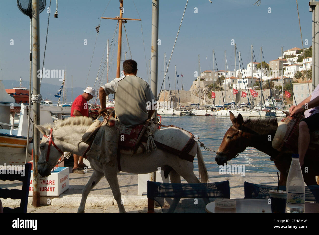 Greece  The Saronic Gulf  Island of Hydra waterfront mules and riders Stock Photo