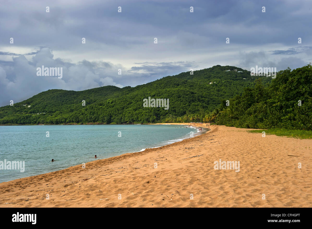 Grand Anse Beach Deshaies Basse Terre Island Guadeloupe