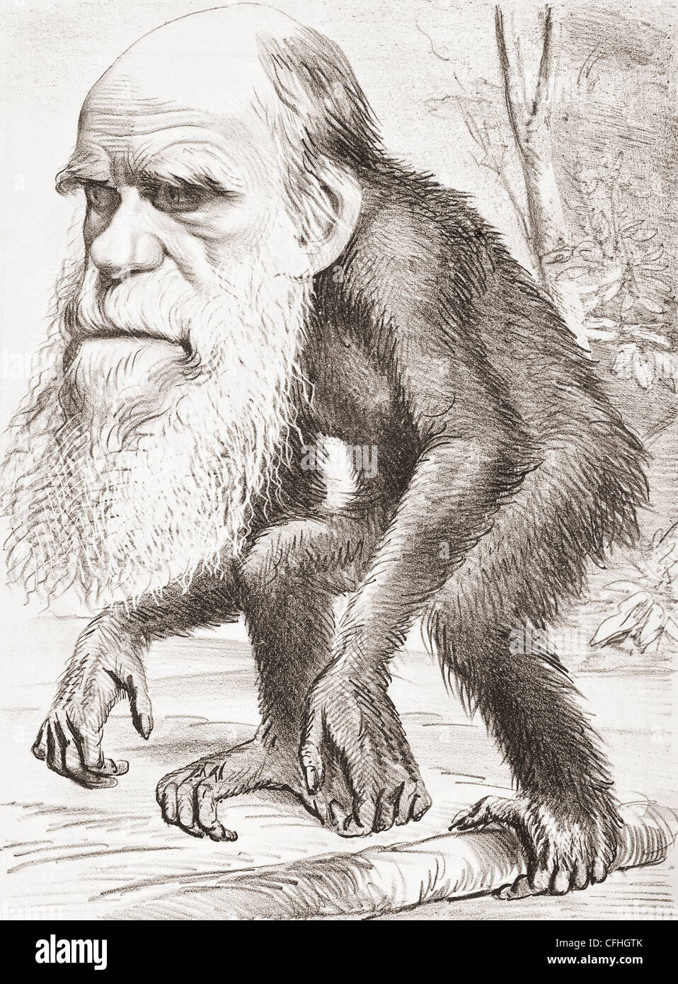 Charles Darwin 1809 - 1882. English naturalist here portrayed as an ape in a cartoon in the Hornet magazine of 22 March 1871. Stock Photo