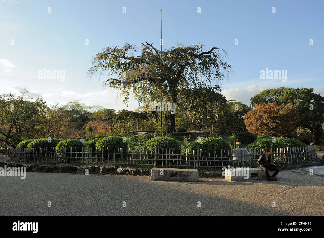 Young Japanese Man Sitting On Stone Bench In Maruyama Koen Park