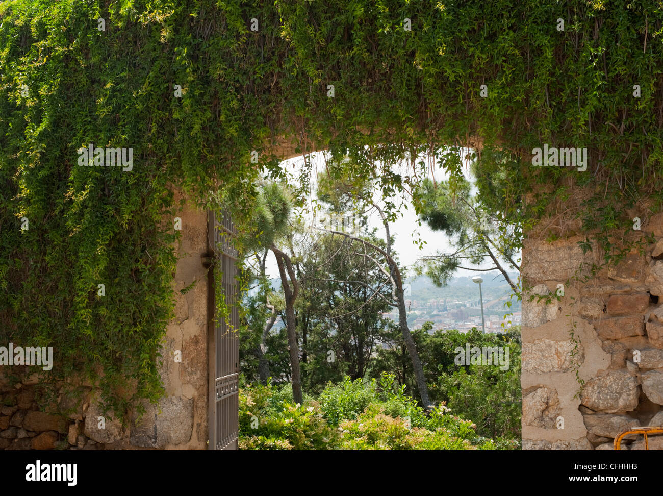 An archway with hanging vines and gate in Park Guell looking to Barcelona Stock Photo