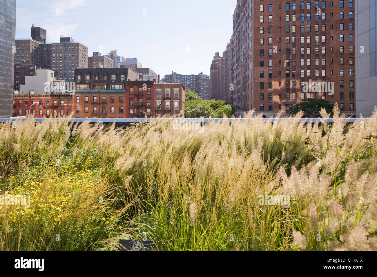 Views of the High Line Park, New York City Stock Photo Alamy