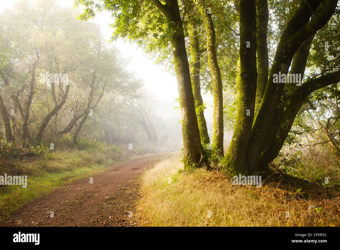 Chaparral landscape hires stock photography and images Alamy