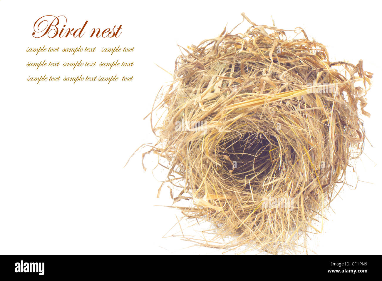 Bird nest on white background Stock Photo - Alamy