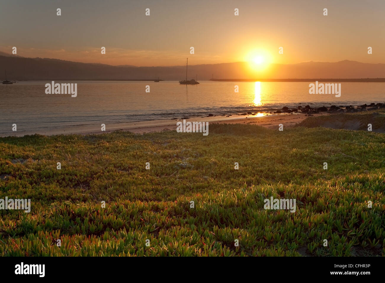 Calm sunrise at Pillar Point Harbor, Half Moon Bay, California Stock Photo Alamy