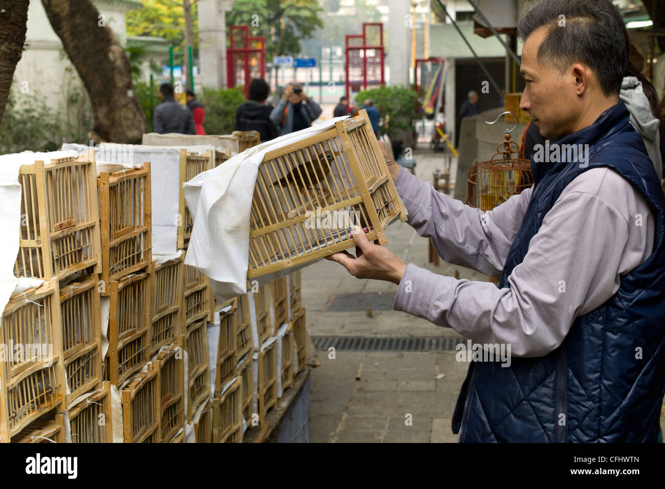 hong kong bird market Stock Photo Alamy