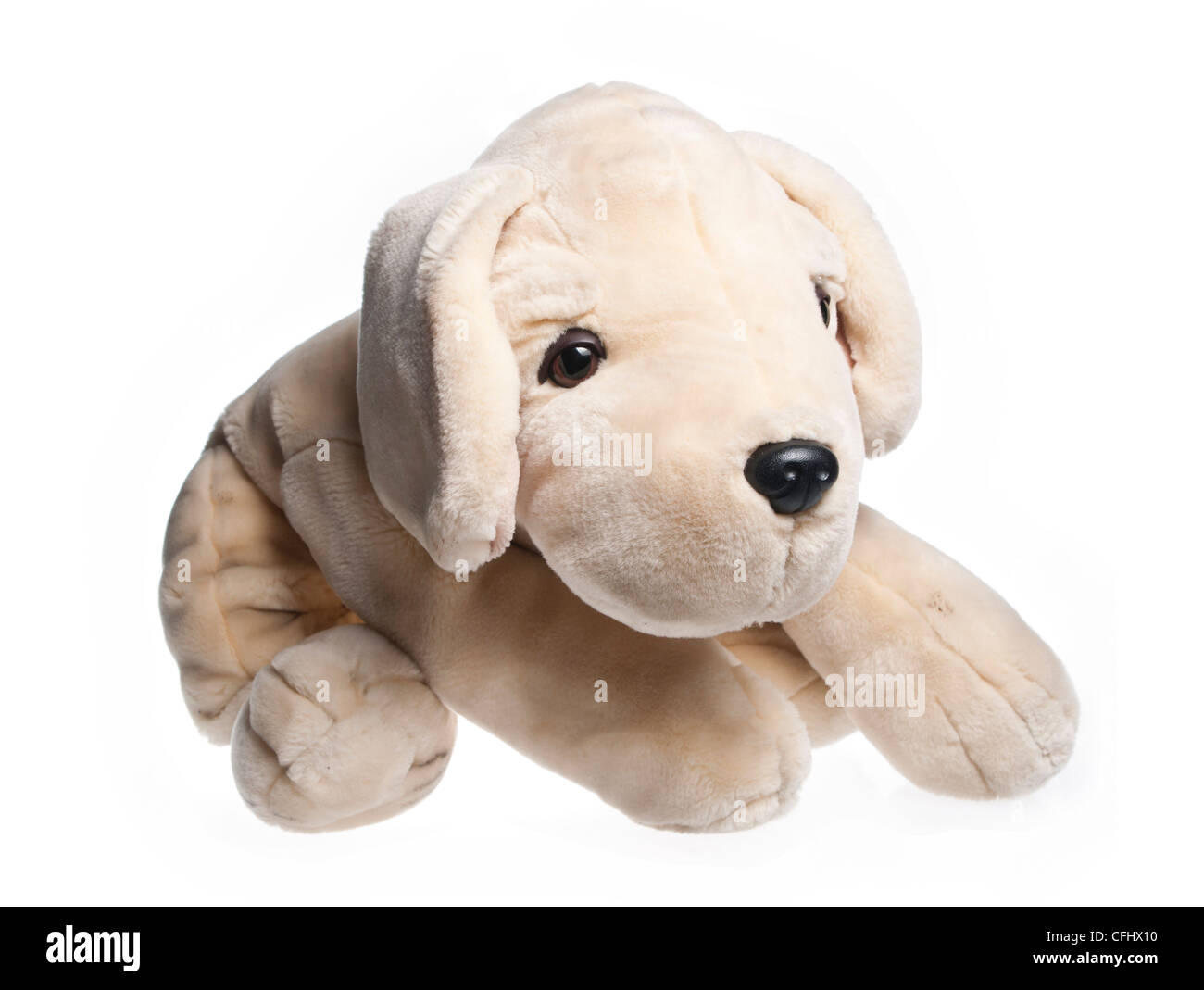 plush dog Stock Photo