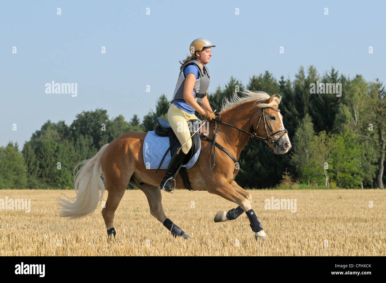 Woman wearing horse riding boots hi-res stock photography and images ...