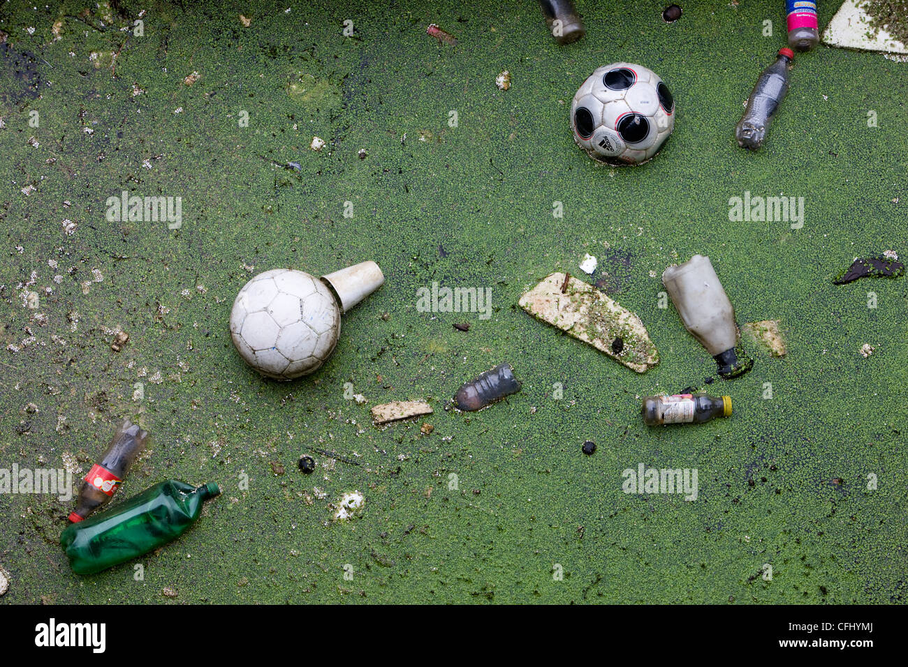 Floating rubbish and weeds collecting in Cardiff Bay Stock Photo