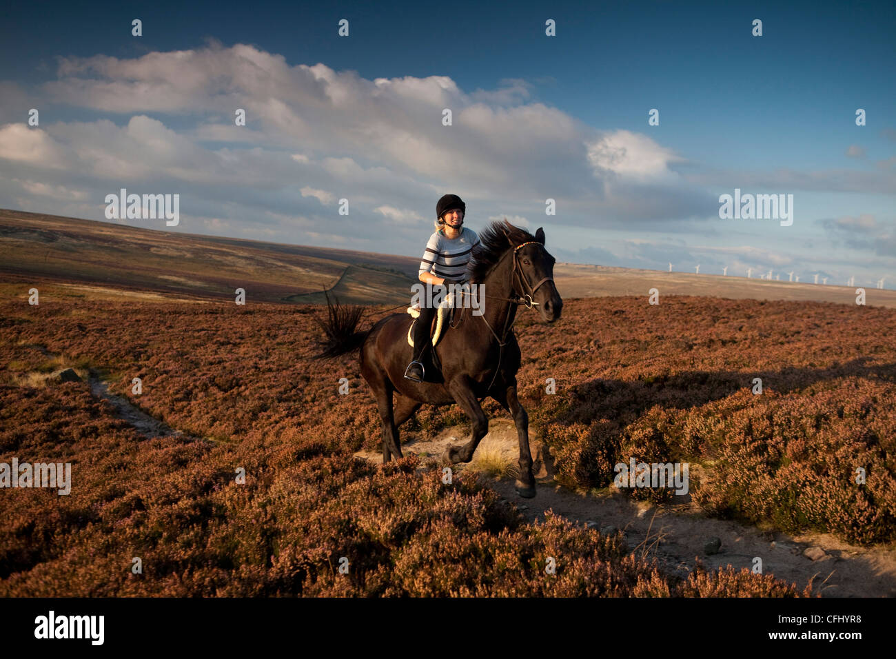 Horse riding on the Yorkshire Moors Stock Photo Alamy