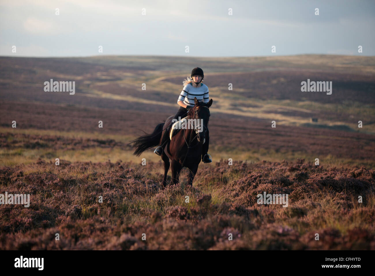 Horse riding on the Yorkshire Moors Stock Photo Alamy