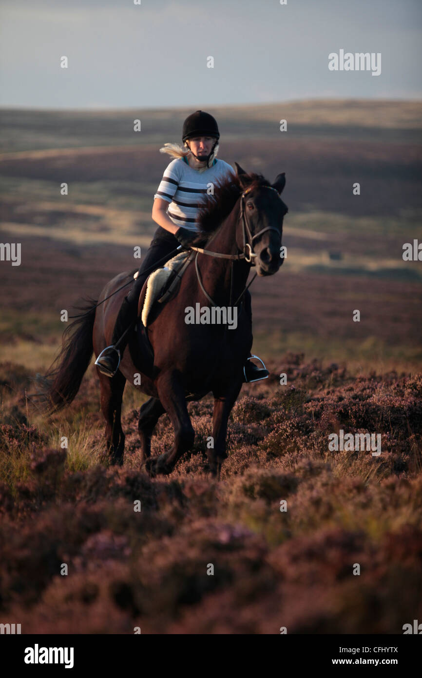 Riding on moors hires stock photography and images Alamy