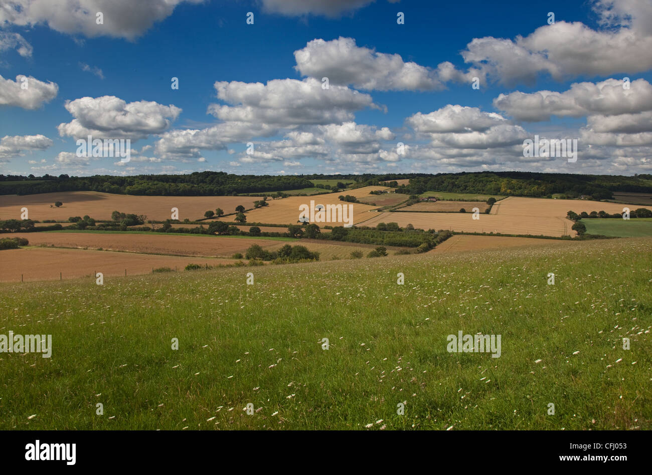 Beds herts and bucks hires stock photography and images Alamy